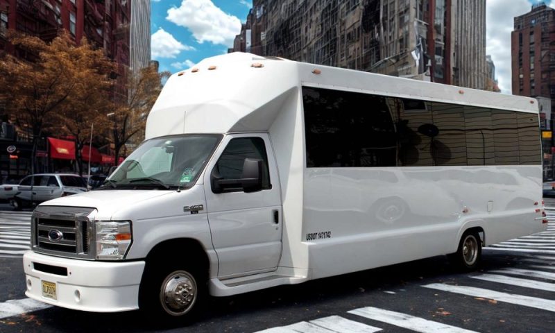 Party Bus- Brad Limo- Fleet-22